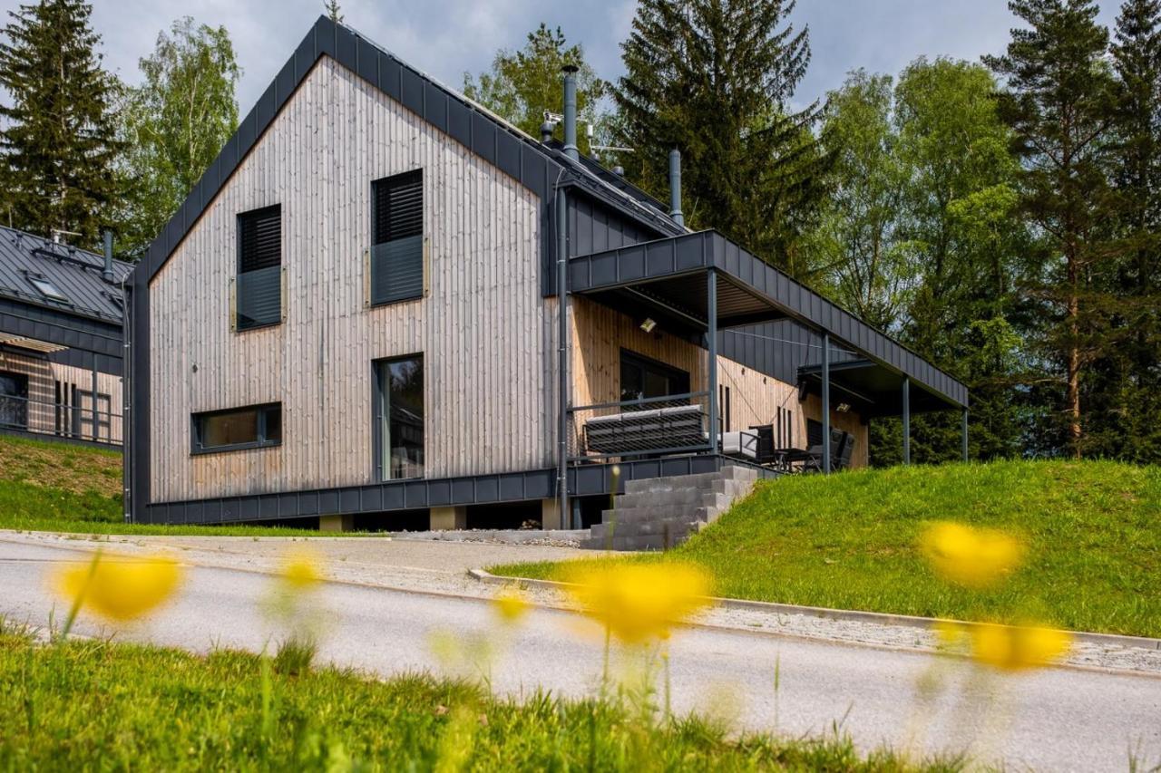 Holiday House U Hajenky 11P Lipno Home ลิปโนนัดเวิลตาวู ภายนอก รูปภาพ